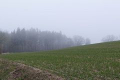 Nebel 16.03.2022