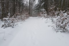 Schneesturm 08.02.2021 (Barsinghausen, Hannover)