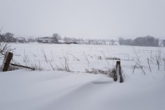 Schneesturm 07.02.2021 (Barsinghausen, Hannover)