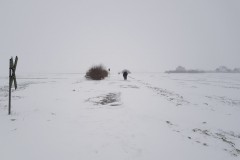 Schneesturm 07.02.2021 (Barsinghausen, Hannover)