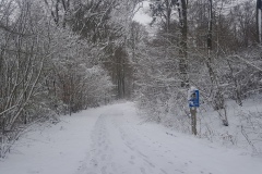 Spätwinter im Deister (Hohenbostel)