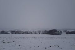 Spätwinter im Deister (Hohenbostel)