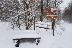 Spätwinter im Deister (Hohenbostel)