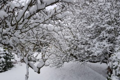 Spätwinter im Deister (Hohenbostel)