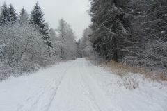 Wintermärchen Norddeutschland