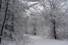 Wintermärchen Norddeutschland