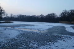 Winterimpressionen Hannover (04.03.2018) - Herrmann-Löns-Park