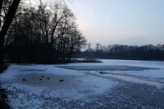 Winterimpressionen Hannover (04.03.2018) - Herrmann-Löns-Park