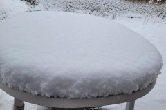 Schneefall vom 22.01.2023 (Barsinghausen)