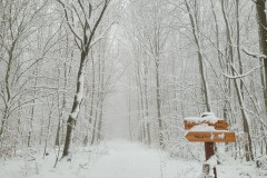 Barsinghausen/Hohenbostel vom 22.01.23