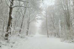 Barsinghausen/Hohenbostel vom 22.01.23