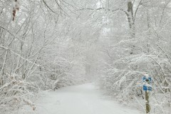 Barsinghausen/Hohenbostel vom 22.01.23