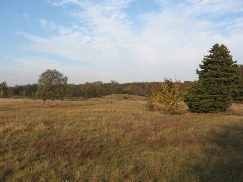 An den Küsten kurzzeitig stürmisch, im Süden Altweibersommer