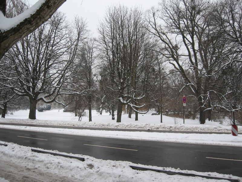 Von Nordosten zunehmend winterlich