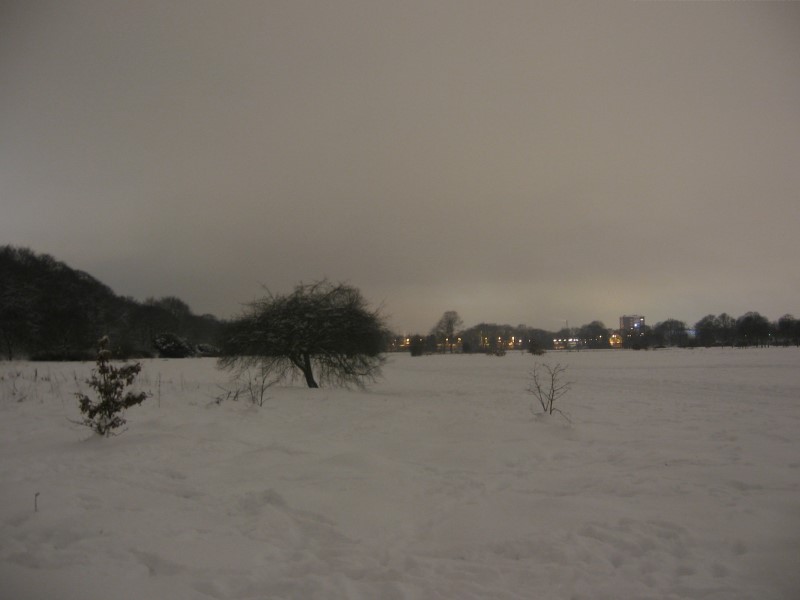 Zunehmend winterlich mit Schneefällen bis ins Flachland