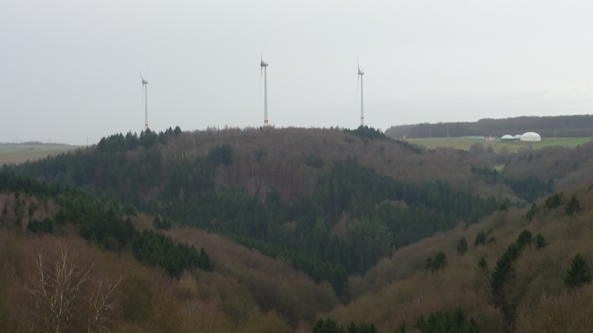 Erst schaurig, dann regnerisch