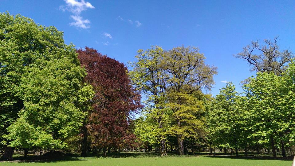 Zunehmend frühlingshaft – nächste Woche 20°C?