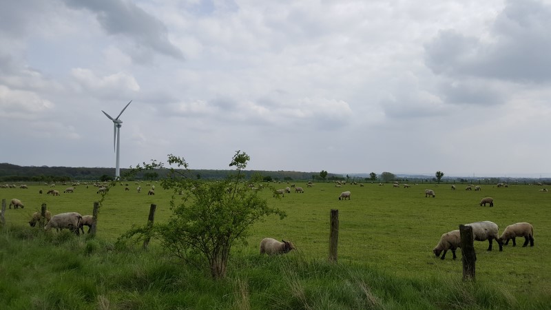 Mäßig warmes Sommerwetter