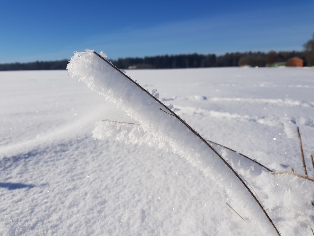 Spezial: Massiver Wintersturm in den USA