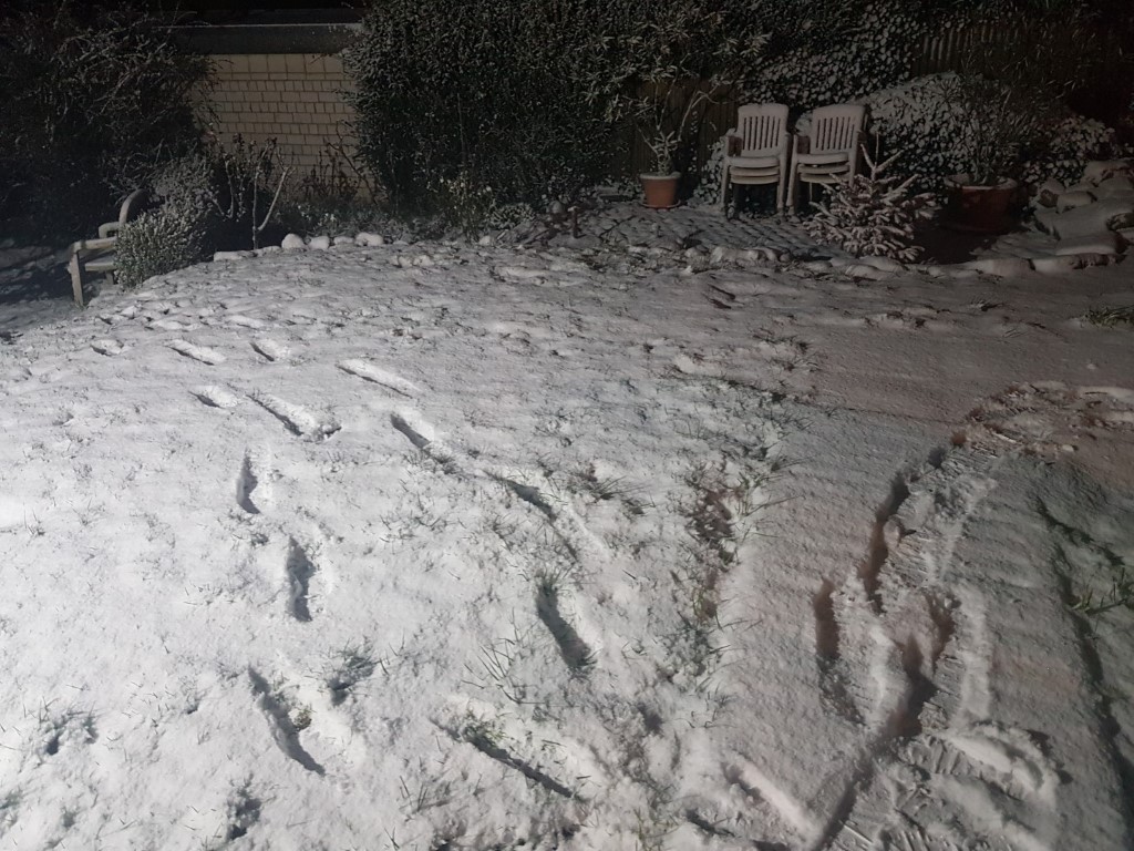 Spätwinter Barsinghausen Neuschnee