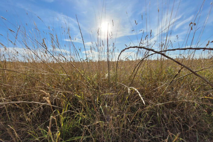 Sommerlich warm und meist trocken