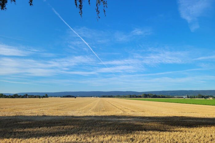 Erste Niederschlagssignale in Sicht