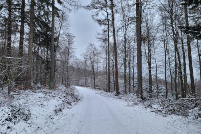 Nasskalt, im Bergland winterlich