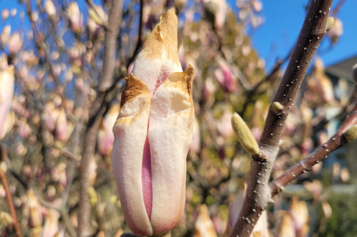 Frohe Ostern & Ja, es wird langsam milder