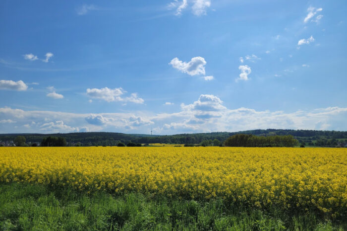 Sommerliches Intermezzo mit Gewittergefahr