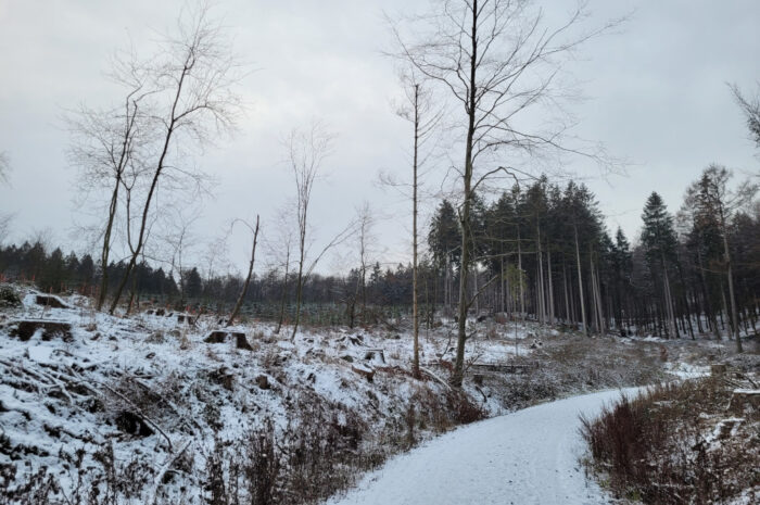 Weihnachtswetter 2023 – schwere Sturmlage möglich!