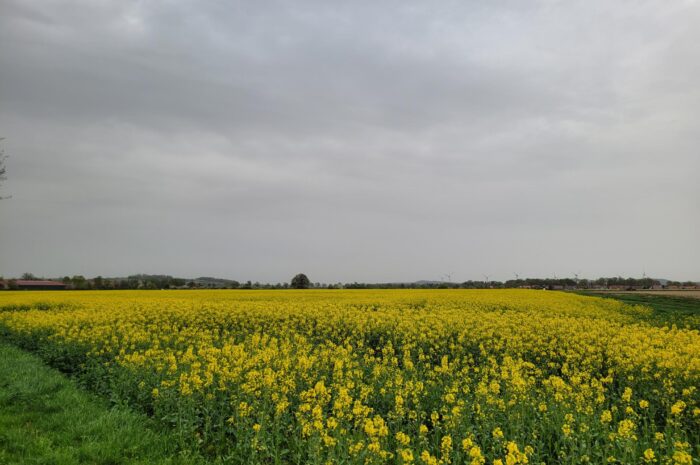 Temperatursturz erwartet