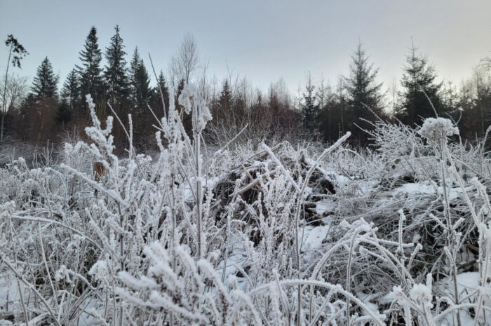 Zunehmend winterlich mit Überraschungspotential